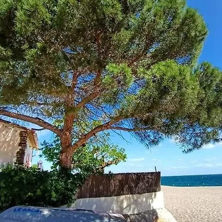 Duplex 6 Pers. Proche Plage, Terrasse, Parking, Animaux Admis - Fr-1-776-23 Apartment